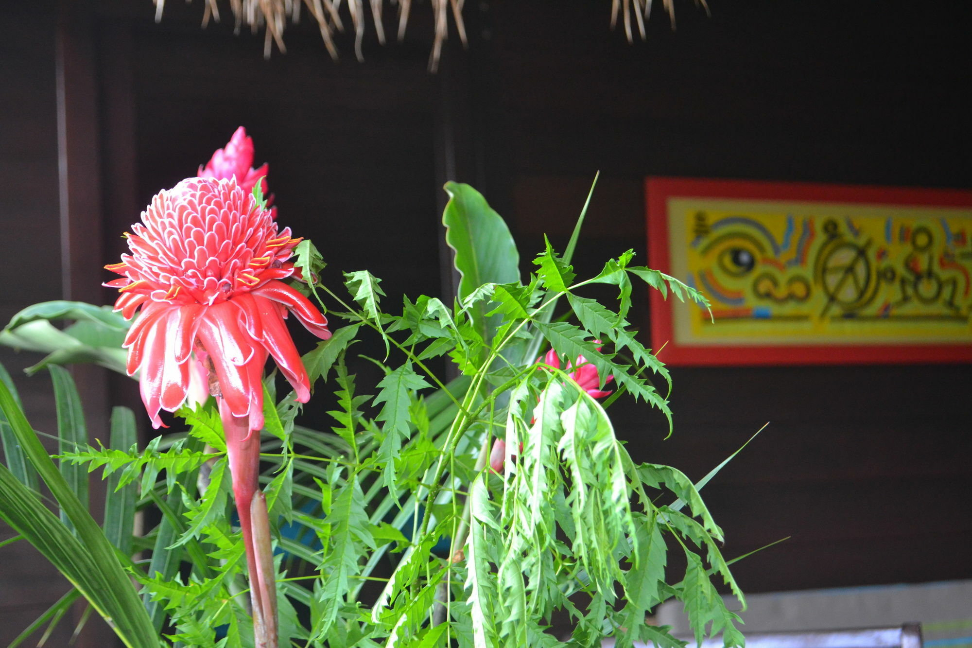 Piton Bungalows Ecolodges デエエ エクステリア 写真