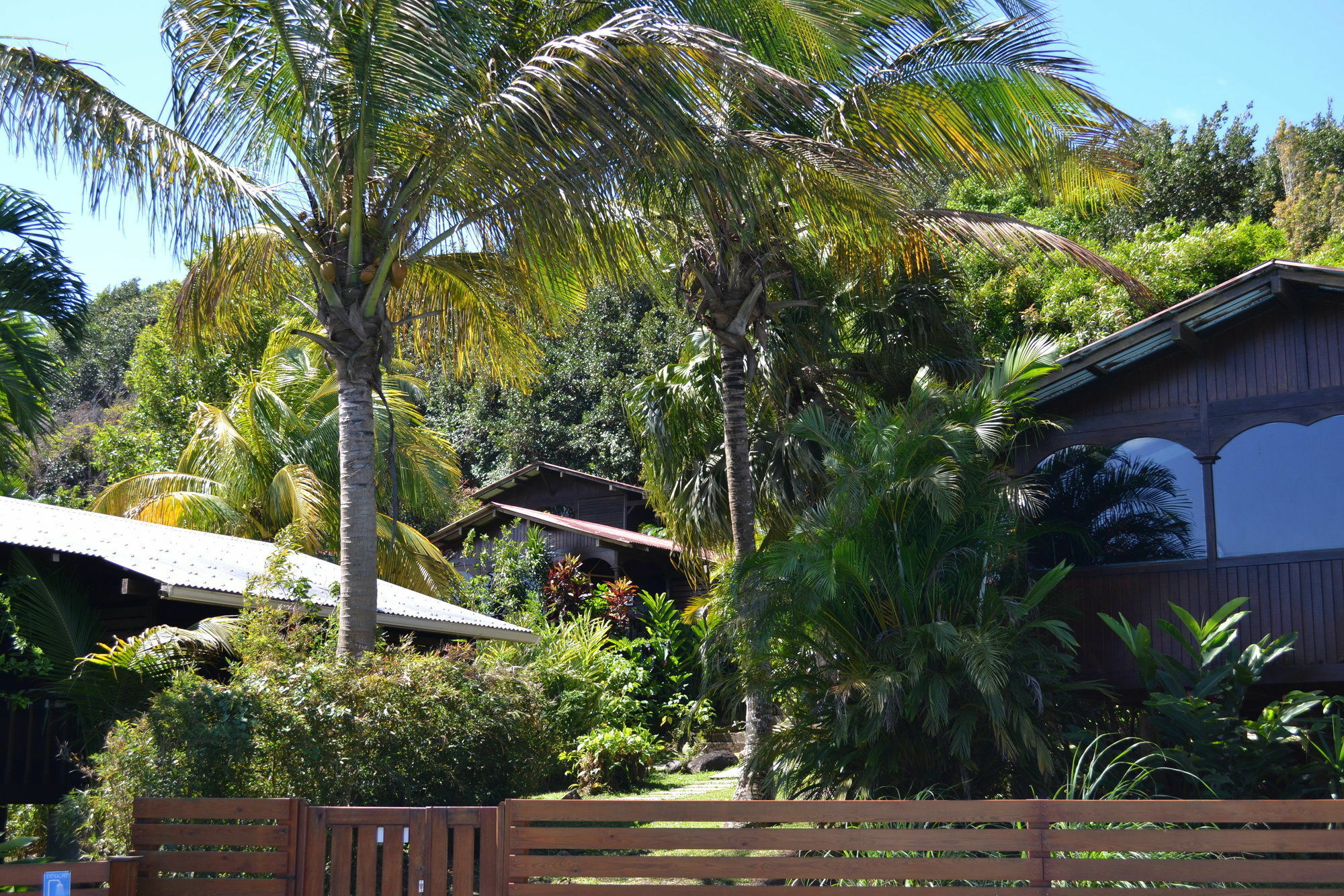 Piton Bungalows Ecolodges デエエ エクステリア 写真